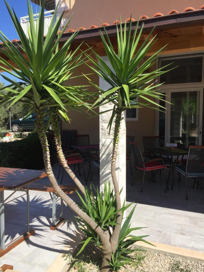 Apartments Lumbarda Beach Extérieur photo